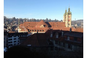 Poza petiției:Wesentliche Sichtachse auf das UNESCO Weltkulturerbe Stiftsbezirk St. Gallen, Schweiz schützen!
