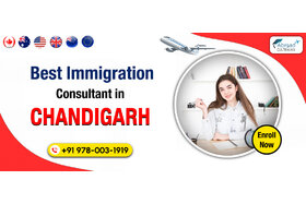 Image of the petition: Why Choose Study Visa Consultants in Chandigarh for Higher Education Abroad
