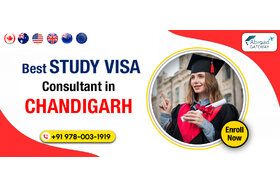 Bild der Petition: Why You Need a Reliable Immigration Consultant in Chandigarh?