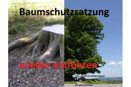 Foto van de petitie:Wiedereinführung der Baumschutzsatzung Duisburg
