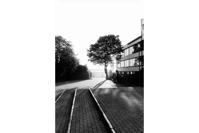 Obraz petycji Wiederherstellung der Spielplätze an Pankower Schulen – Kinder brauchen kindgerechte Schulhöfe