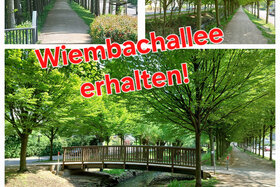 Bild der Petition: Wiembachallee erhalten!
