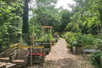 Immagine della petizione Wien: Nachbarschaftsgarten Nordfarmhof muss bestehen bleiben!