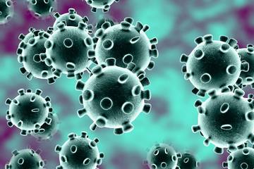 Image of the petition Wiener Schulen wegen Coronavirus sperren!
