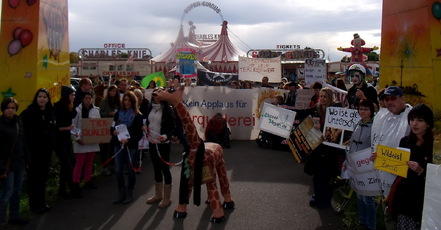 Bild der Petition: (Wild)Tier-Verbot für Zirkusse in Kassel