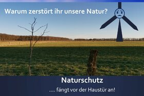Φωτογραφία της αναφοράς:Windkraft - aber nicht auf Kosten der Natur!