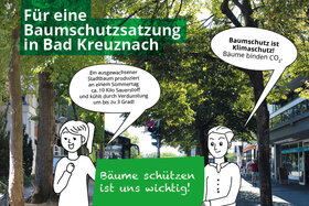 Bild der Petition: Wir brauchen eine Baumschutzsatzung für Bad Kreuznach!