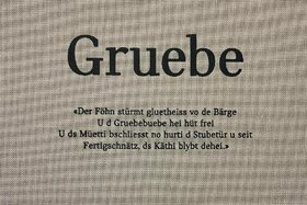 Φωτογραφία της αναφοράς:Wir ehemalige Heimkinder wollen unser Buch "Gruebe" zurück.