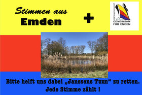 Bild der Petition: Wir fordern, dass das kleine Biotop „Janssens Tuun“ in Emden vor einer Zerstörung bewahrt wird!