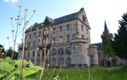 Bild der Petition: Wir fordern dringend den Erhalt von Schloss Reinhardsbrunn!