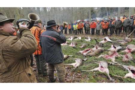 Bild der Petition: Wir fordern eine öffentliche Debatte über die Jagd! Ist die Jagd wirklich nötig?