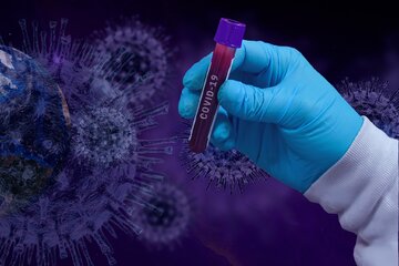 Afbeelding van de petitie Wir fordern: Long Covid Medikament BC007 jetzt fördern!/ Funding for BC007, drug against Long Covid