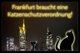 Bild der Petition: Wir fordern weniger Tierleid: Katzenschutzverordnung für Frankfurt beschließen