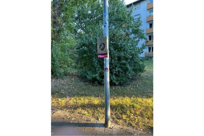 Image of the petition Wir sind gegen die Streichung der Kosten für Hundetüten im Karlsruher Haushaltsplan 2026/27