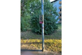 A petíció képe: Wir sind gegen die Streichung der Kosten für Hundetüten im Karlsruher Haushaltsplan 2026/27