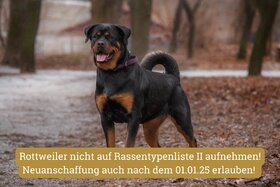 Bild der Petition: Stoppt das Verbot: Neuanschaffung von Rottweilern auch 2025 im Kanton Zürich!