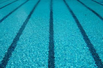 Bild der Petition Wir Wollen, Dass Es Ab Sofort Mehr Schwimmkurse Für alle Kinder Und Jugendliche In Kassel gibt