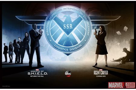 Foto van de petitie:Wir wollen eine Blu-Ray/DVD Veröffentlichung von Agents of S.H.I.E.L.D Staffel 2 und Agent Carter