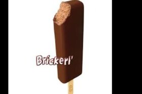 Obrázek petice: Wir wollen unser Brickerl zurück....!