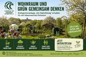 Bild der Petition: Wohnraum und Grün gemeinsam denken – Kleingartenanlage „Am Habichtweg“ erhalten
