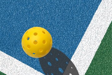 Imagem da petição Wollondilly needs a dedicated indoor pickleball facility