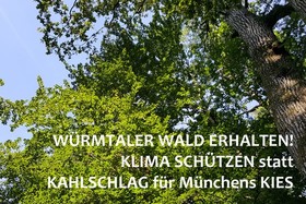 Kuva vetoomuksesta:Würmtaler Wald erhalten! KLIMASCHUTZ statt KAHLSCHLAG für Münchens Kies!