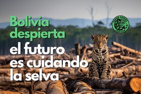 청원서 이미지: ¡YA BASTA! Nuestros bosques arden, los ríos envenenados con mercurio y los indígenas son despojados.