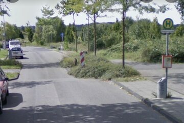 Bild der Petition Zebrastreifen Bushaltestelle „Weserpromenade“