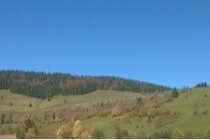 Bild der Petition Zipline Todtmoos-Weg: Alternativer Standort - Nicht am Wohngebiet, Vorteile für alle!