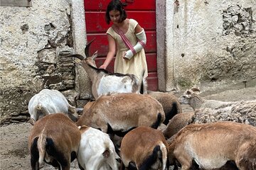 Bild der Petition Zoo didattico per bambini Ascona-Locarno/ Streichelzoo für Kinder