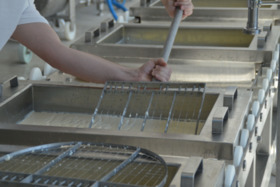 Imaginea petiției: Zukunft der Fortbildung "Fachagrarwirt/in - Handwerkliche Milchverarbeitung“ sichern