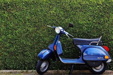 Bild der Petition Zulässige Höchstgeschwindigkeit für Mofas bis 50ccm von 25 auf 40Km/h