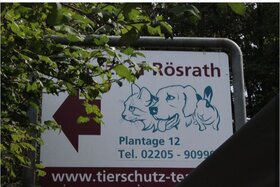 Kuva vetoomuksesta:Zulassung als Tierschutzhof/Tierheim