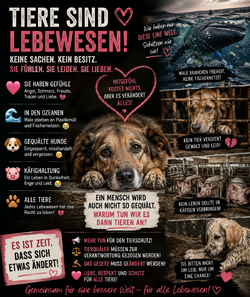 Logo Hilfe für Tierschutz gegen Tierquälerei