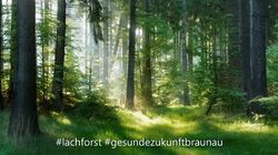 Лого INITIATIVE Gesunde Zukunft