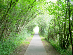 Logotipo Bürgerinitiative Gartetalweg Gleichen und Göttingen