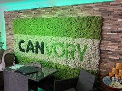 Logotip Canvory Shop Innsbruck