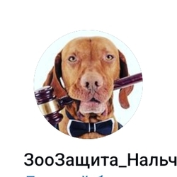 Logo Зоозащита-Нальчик КБР