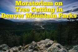 Լոգո Friends of the Stanley Park 80