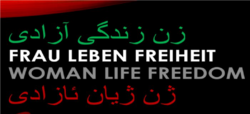 Logo Initiativ "Stimmen für Frau, Leben, Freiheit"