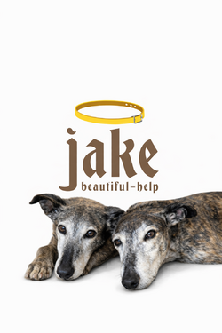 Logo Jake Hundehilfe