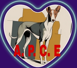 Logo APCE Ayuda para los Perros de Caza en España 