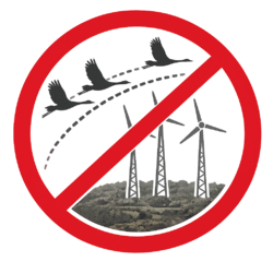 Logo Bürgerinitiative Ralswiek zum Schutz von Natur und Tourismus