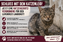 Logo der Organisation Katzenschutzverordnung Landkreis Landshut