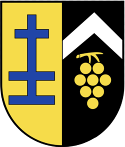 Ortsgemeinde Rümmelsheim logosu
