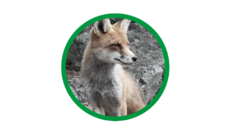 Logo Initiative Lebenswertes Spindlersfeld