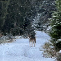 Foto de perfil de Michaela Jung