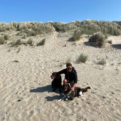 Profilfoto vom Benutzer