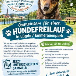 Profilfoto von Uwe Steinhage