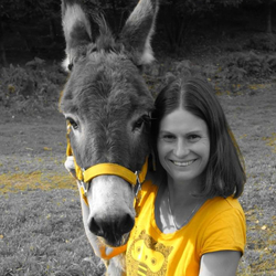 Gebruikersprofielfoto